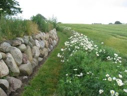 Billde af stendige